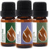 Set Forest Magic - Organic Essential Oils - Scotch Pine + Juniper