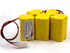 elxjar 4.8V 800mAh Ni-CD AA Battery Pack Replacement, 2-Pack for Energizer