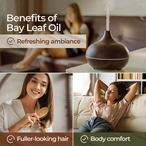 Gya Labs USDA Certified Organic Bay Leaf Essential Oil for Diffuser - 100% Pure Natural Aroma (0.34 Fl Oz)