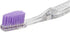 Eyup Sabri Tuncer Toothpaste Series (Natural Clove Oil, 75ml)