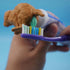 yuecher Creative Golden Retriever Puppy Toothpaste Dispenser, Dog Themed Toothpaste Holder, Fun Novelty Gift for Dog