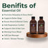 Set 100% 4 OZ 118 ML Lavender & Bergamot Essential Oils Pure & Natural Aromatherapy Diffuser Oils for Stress Relief