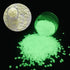 PrettyG 6 Boxes Set Luminous Nail Art Glitter, Glow in The Dark 3D Sparky Moon Butterfly Flower Stickers for DIY Craft