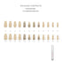 Hypnaughty 24 Pcs Vegas Gold and Nude Luxury Coffin Press On Fake Nails with Glitter Design and Glue, Ombre Glitter
