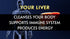 LIVERITE Liver Aid with Milk Thistle, 60 Capsules, Liver Support, Cleanse, Care, Function, Energy