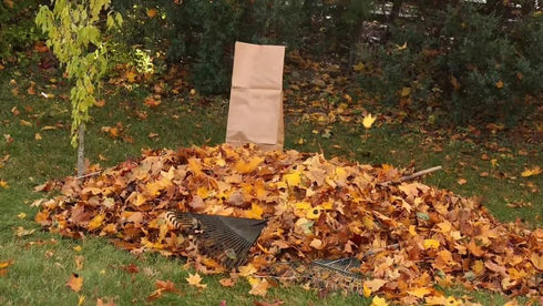 Rocky Mountain Goods 30 2 (Pack 5) Yard Waste Bags - Large Gallon Brown Paper Leaf Bags for Yard/Garden/Lawn