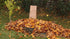 Rocky Mountain Goods 30 2 (Pack 5) Yard Waste Bags - Large Gallon Brown Paper Leaf Bags for Yard/Garden/Lawn