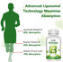 Active B Complex Liposomal B Vitamins with Choline Inositol - 90 Softgels for Immune and Energy Support