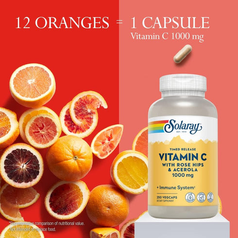 SOLARAY Vitamin C 1000mg with Rose HIPS & Acerola | 250 Ct | Two-Stage Timed-Release Immune Support & Antioxidant