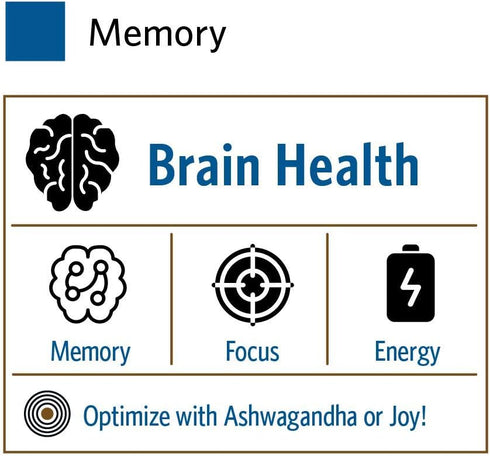 ORGANIC INDIA Memory Herbal Supplement - Brain Support with Bacopa Monnieri & Gotu Kola, 90 Capsules