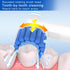 Sensitive Gum Care Replacement Brush Heads Refill, Soft Bristles for Gentle Care, Compatible with Oral B Braun Electric