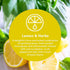 Clean Revolution Multi Surface Cleaner Refill, Non-Toxic, Eco-Friendly, Ready to Use, Lemon & Herbs, 128 Fl Oz