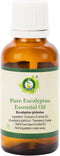 Eucalyptus Essential Oil 50ml | Eucalyptus Globulus | 100% Pure Natural, Undiluted | Therapeutic Grade for Diffuser