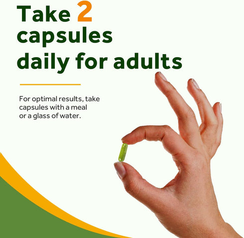 Doctor's Recipes Moringa Capsules, 10,800 mg Strength Per Serving, 50:1 Extract, 90 Non-GMO Caps