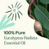 Plant Therapy Eucalyptus Radiata Essential Oil, 100 mL (3.3 oz), 100% Pure, Undiluted