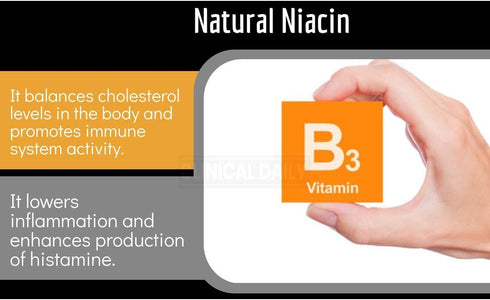 Clinical Daily Blood Circulation Supplements for Poor Circulation, 90 Capsules, Varicose Veins Treatment with Diosmin