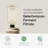 ONE THING Galactomyces Ferment Filtrate Toner 5.07 Fl Oz, Hydrating Daily Essence for Clear Glowy Skin