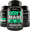 Organic Lions Mane Supplement Capsules 2400mg - Vegan Brain Booster for Memory, Energy & Mental Clarity - 60 Count