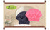 Microfiber Hair Drying Towels with Bow-Knot Shower Cap - Hair Turban for Curly Long Hair, 2 Pack
