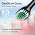 Paradise Bliss Quality 8 5 IPX7 Electric Toothbrush for Adults with Replacement Brush Heads, SunnyNest Rechargeable