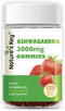Nature's Key Ashwagandha Gummies, High Potency with Vitamin D2, for Men & Women, Stress & Calm Mood, 120 Count