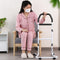 kaileyouxiangongsi Chair & Couch Stand Assist bar, Assistance Handle for Seniors and People