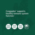 Standard Process Congaplex - Thymus Gland Support Supplement with Immune Health Ingredients