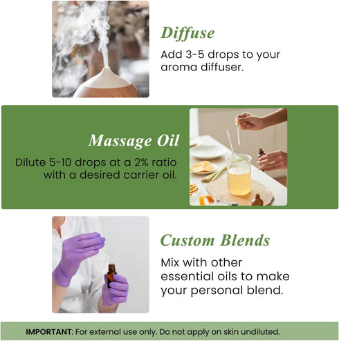 Set: (2 4 Oz) 100% Handcraft Blends Bright Herbal Rosemary and Orange Essential Oils x Fl Pure & Natural for Diffuser