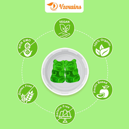 Ginkgo Biloba Gummies 2 Pack with Ginseng Maca Root & Magnesium - Organic Brain Focus Energy Mood Memory Supplements