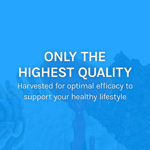 Host Defense Breathe* Capsules - Immune & Respiratory Support Mushroom Supplement with Chaga, Reishi & Cordyceps - 30
