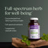 New Chapter Lemon Balm Force, Supercritical Lemon Balm for Mood & Immune Support, 30 ct Vegetarian Capsules