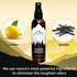 Lumi Outdoors Natural Air Freshener - Lemon Vanilla Odor Eliminating Essential Oil Room Spray