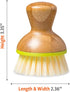Full Circle Green Bubble Up Bamboo Dish Brush, White, Model: FC12115G