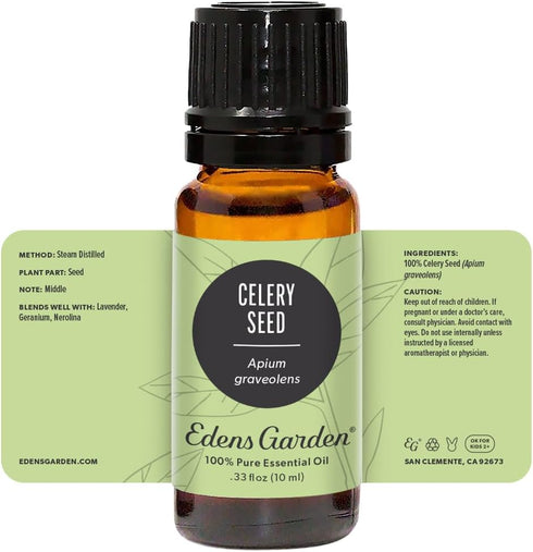 Edens Garden 100% Pure Celery Seed Essential Oil - Therapeutic Grade Undiluted Aromatherapy - 10 ml