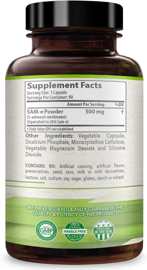Healthy Way 500mg SAM-e Supplement - High Strength S-Adenosyl-L-Methionine Capsules for Joint, Brain, Liver, Mood