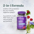New Chapter Probiotic Gummies for Women and Men - 1 Month Supply - Vegan, Non-GMO, Holistic Gut Health