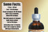 Hawaii Pharm 2oz Wild Carrot Alcohol-Free Liquid Extract, Wild Carrot (Daucus Carota) Dried Seed Glycerite Herbal