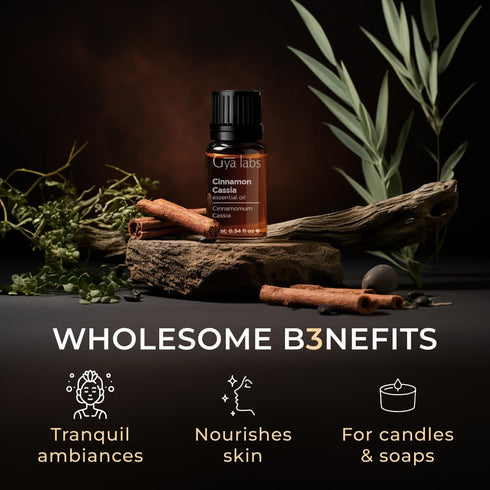 Set Set Spikenard Essential Oil for Diffuser & Cinnamon Cassia Essential Oil - Aromatherapy Grade Essential Oils - Gya