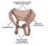 Wonder Care Inguinal Hernia Support Truss Brace for Single/Double Hernia with Adjustable Groin Straps, Medium