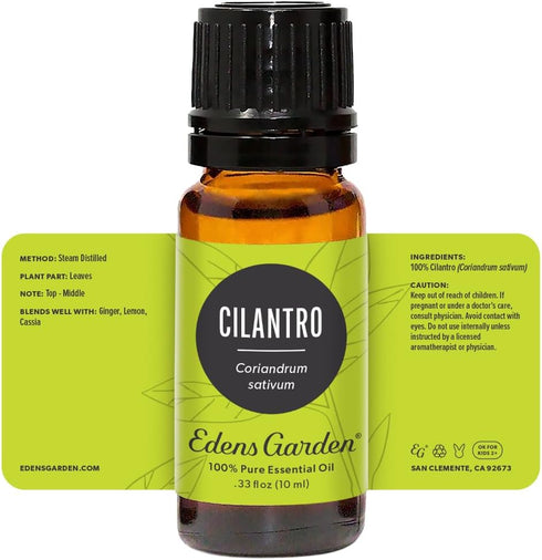 Edens Garden Cilantro Essential Oil, 100% Pure Premium Grade, Natural Therapeutic Aromatherapy, 10 ml