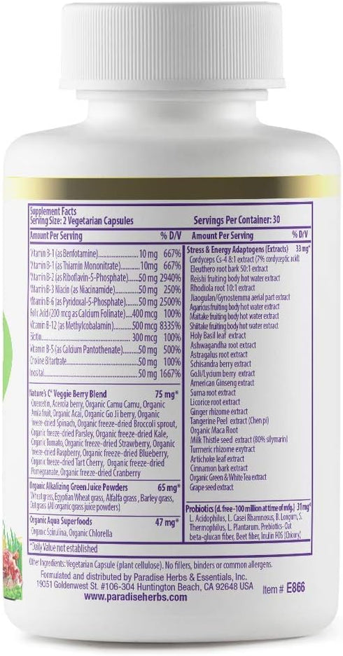 Paradise Herbs, Earth's Blend B-Complex, Methylated, Enzymatically Active Forms of B Vitamins + Superfoods, Supports Energy & Immunity, 60