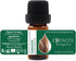 Essences Bulgaria Organic Tarragon Essential Oil 1/6 Fl Oz | 100% Pure and Natural | Therapeutic Grade