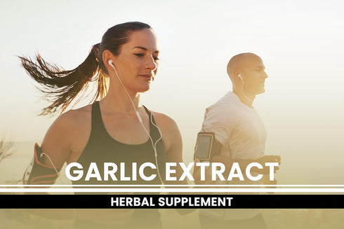 Pure Original Ingredients Garlic Extract (365 Capsules) No Fillers, Always Pure and Lab Verified