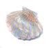 Shell Jaw Clip Hair Claw Clip, Marble Pattern Hairpins for Women Hairdressing Accessories (Light Blue)