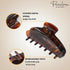Parcelona French Basic Medium 3 1/2" Celluloid Claw Clips, Durable Styling Hair Accessories (Shell and Clear)