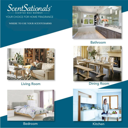 Scentsationals Fragrance Home Air Freshener Gift, Diffuser Plug, Green Leaf - Refill Not Included