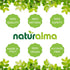 Horsetail (Equisetum 4 oz Naturalma arvense) herb Alcohol-Free Tincture - fl Liquid Extract in Drops - Herbal