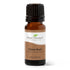 Plant Therapy Clove Bud Essential Oil, 100% Pure Natural Aromatherapy, Therapeutic Grade 10 mL (1/3 oz)