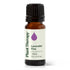 Plant Therapy Lavender Fine Essential Oil, 10 mL (1/3 oz), 100% Pure, Therapeutic Grade