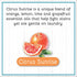 Brooke & Nora At Home Daisy's Goat Milk Laundry Soap, Citrus Sunrise, 45 Loads